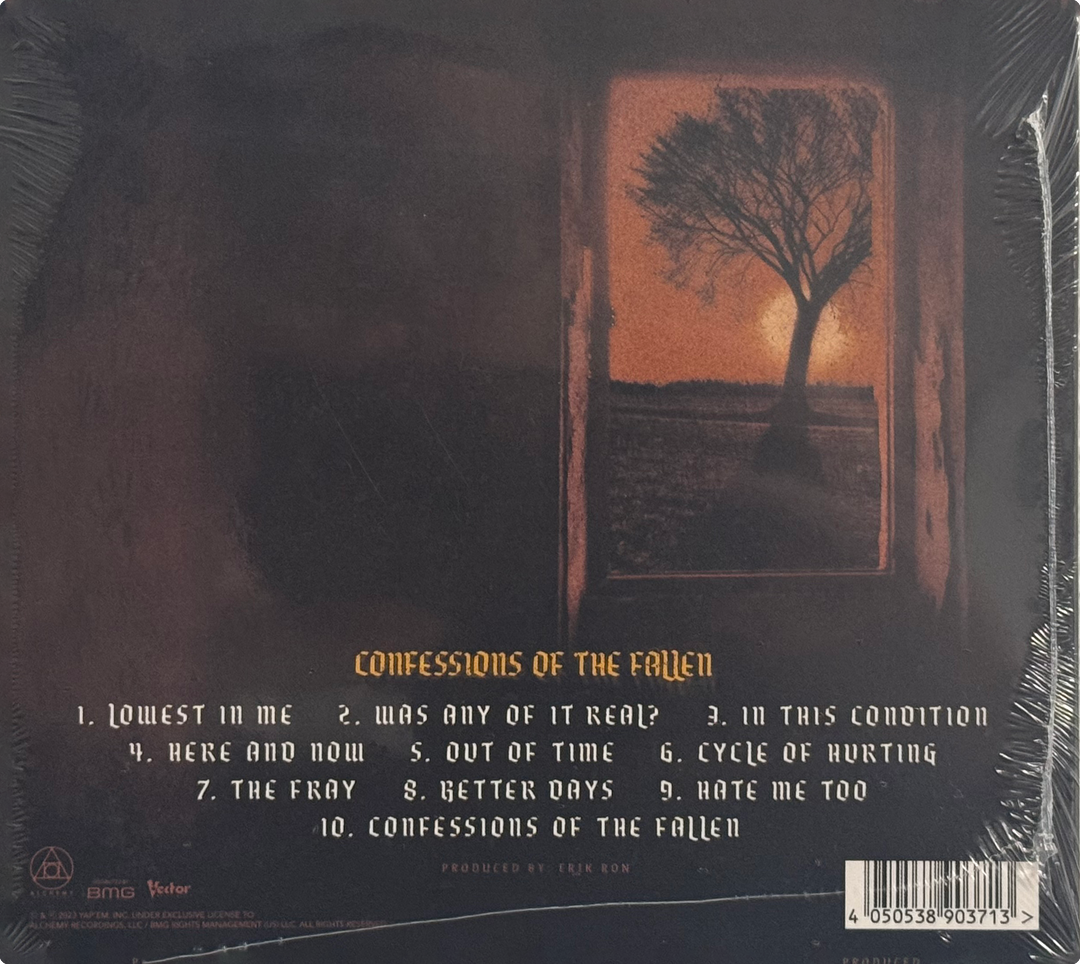 Confessions Of The Fallen CD
